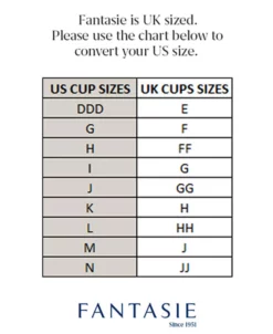 FANTASIE Illusion Underwire Side Support Bra 5 FANTASIE Illusion Underwire Side Support Bra -Adrianna Papell Sales Shop 21741881 fpx 1